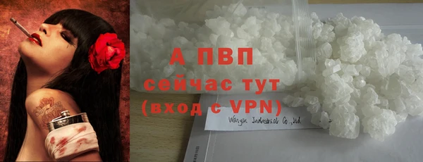 эйфоретик Михайловск
