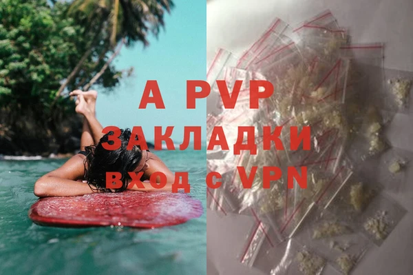 эйфоретик Михайловск