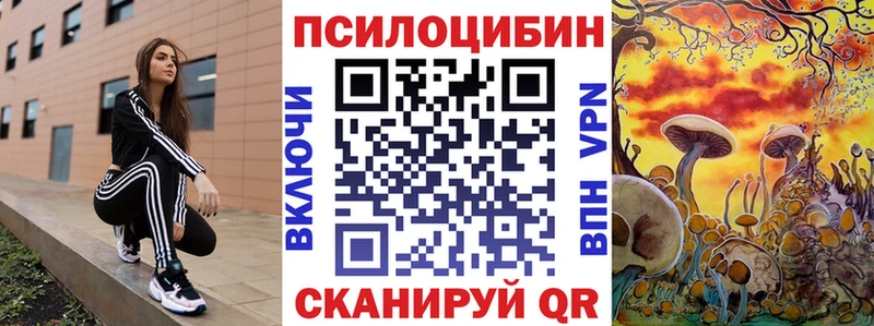 Галлюциногенные грибы мицелий  Починок 
